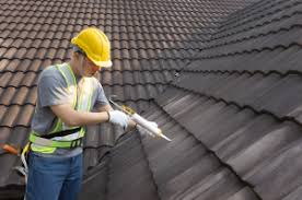 Best Roofing for New Construction  in Mckenzie, TN